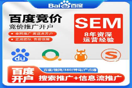 企业SEM服务实战案例解析